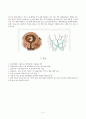자궁경관무력증 IIOC, 유산(abortion) 케이스스터디 4페이지