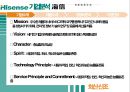중국 하이센스 기업분석 PPT 9페이지