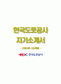 한국도로공사자기소개서+면접기출문제,한국도로공사(신입사원신규채용)자소서,한국도로공사합격자기소개서,한국도로공사자소서항목,한국도로공사면접질문,한국도로공사지원동기 1페이지