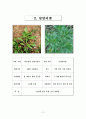 조사 report 5페이지