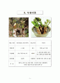 조사 report 7페이지