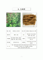 조사 report 9페이지