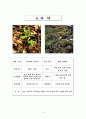 조사 report 11페이지