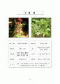 조사 report 15페이지