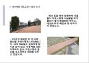 인근 공원 조사 및 시설물 조사하기(조경,도시공학) 7페이지