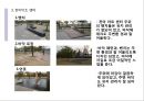 인근 공원 조사 및 시설물 조사하기(조경,도시공학) 10페이지
