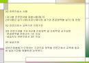 전문간호사, 전문간호사제도 도입과정, 전문간호사제도 관련법, 전문간호사 자격 및 교육, 전문간호사를 바라보는 인식, 전문간호사의 한계 및 문제점 16페이지