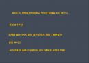 패러디와 관련된 각국의 법제도 비교 13페이지