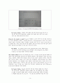 [FIFTH EDITION] SCIENCE STORIES (저자 - Janice KOCH) Chapter 7. Sustained Inquiry 7장 해석 10페이지