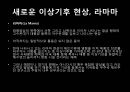 엘니뇨, 라니냐   23페이지