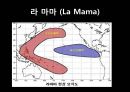 엘니뇨, 라니냐   24페이지