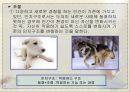 지력개발모형 -인지발달론 7페이지