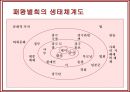 영화 인물분석-패왕별희(覇王別姬 Farewell My Concubine)  25페이지