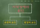지적장애  17페이지