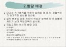 생활 적응 교육과정 직업 교육과정 14페이지