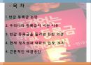 등록금, 이대로 괜찮은가 - 반값등록금으로 불거진 대학 등록금 문제 2페이지