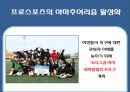 프로스포츠의 긍정적 영향 6페이지
