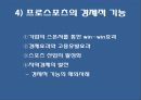 프로스포츠의 긍정적 영향 13페이지