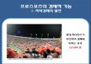 프로스포츠의 긍정적 영향 18페이지