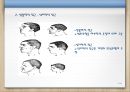 범죄와 일탈  5페이지