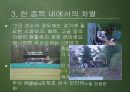 프로스포츠의 역기능  24페이지