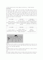 수영 지도계획 4페이지