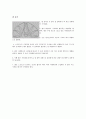 수영을 배우는 방법 8페이지
