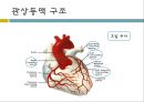coronory angiography 4페이지
