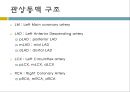 coronory angiography 5페이지