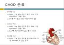 coronory angiography 6페이지