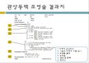 coronory angiography 11페이지