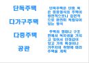 [주거와 실내디자인] 주거호수에 따른 분류 5페이지