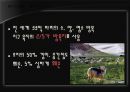 황사 10페이지