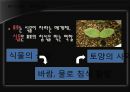 황사 11페이지