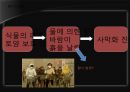 황사 13페이지