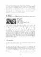 문화대혁명, [문화대혁명 개념, 문화대혁명 성격, 문화대혁명 배경과 발단, 문화대혁명 전개, 문화대혁명 평가, 문화대혁명 역사적 의의, 중국 주요사건 일지] 5페이지