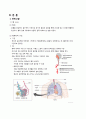 성인간호 케이스, 폐성심, cor pulmonale, ICU 케이스, 중환자실케이스, 가스교환장애, 간호진단, 간호사정, 간호과정 3페이지