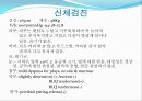 간경화&담낭염 사례관리 케이스 5페이지