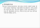 간경화&담낭염 사례관리 케이스 27페이지
