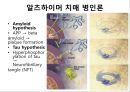 치매 사례관리 케이스 5페이지