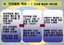 브라질의 역사와 민주화과정 12페이지