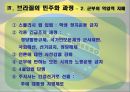 브라질의 역사와 민주화과정 25페이지