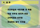 브라질의 역사와 민주화과정 29페이지