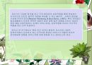 어머니의 언어지원환경이 유아의 읽기에 미치는 영향 7페이지