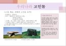 세계문화유산 제1과제 5페이지