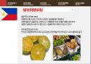 세계음식문화의 이해 - 필리핀 19페이지