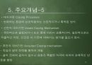 [간호이론] 로이이론 (Roy Adaptation Theory), 로이의 적응이론 14페이지