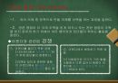 사회복지정책의 과정 13페이지