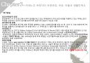 치매노인 주 부양자의 부양부담감이 정신건강에 미치는 영향 16페이지