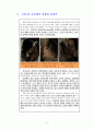 마이클 커닝햄의 소설 디아워스 원작 4페이지